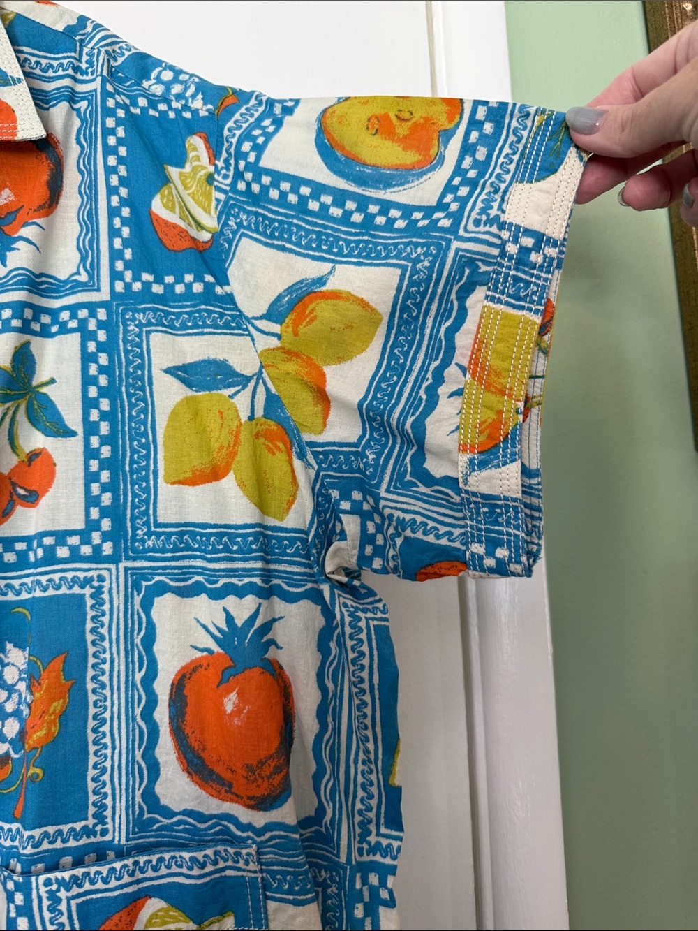 BDG Blue Multi Fruit Print Button-Down Shirt - Picture 4 of 5